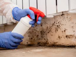 Why You Should Choose Our Mold Remediation Services in Golden Meadow, LA